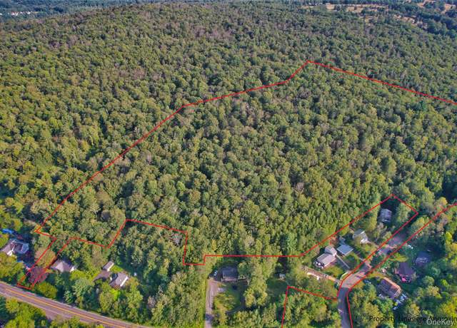 Property at 39 Birch Ln, Swan Lake, NY 12783