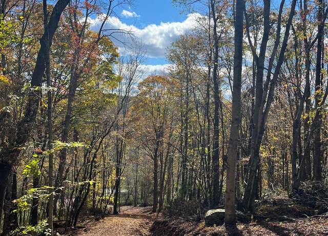 Property at 00 Debruce Rd, Livingston Manor, NY 12758