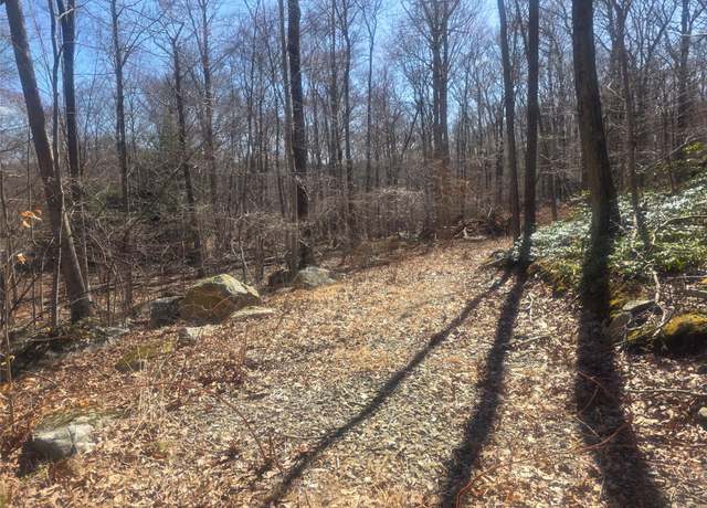 Property at South Rd, Holmes, NY 12531