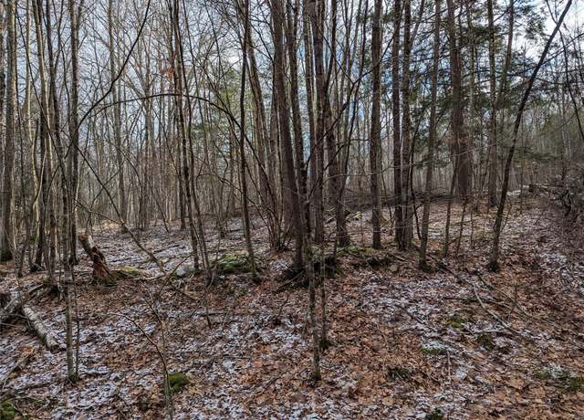 Property at 2 South (foster) 16.-7-1.10 Trl, Narrowsburg, NY 12764