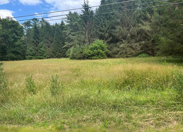 Property at 27 Woods Rd, Yulan, NY 12792
