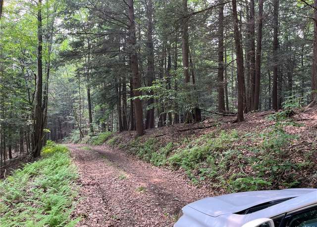 Property at Hood Rd, Roscoe, NY 12776