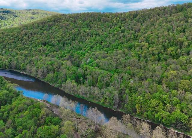 Property at County Road 17, East Branch, NY 13783