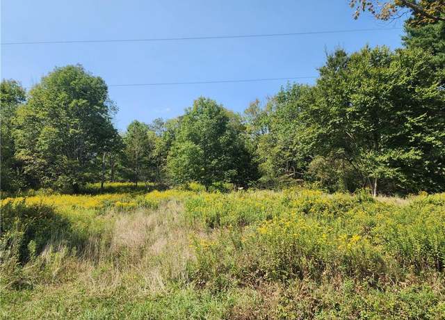 Property at 231 County Road 92, Roscoe, NY 12776