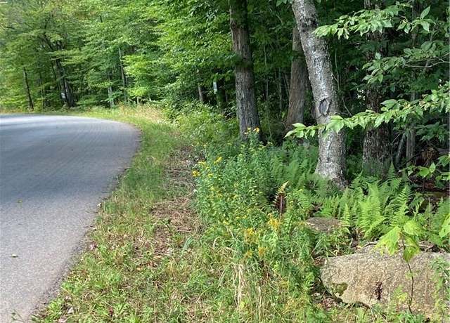 Property at Fox Mtn, Livingston Manor, NY 12758