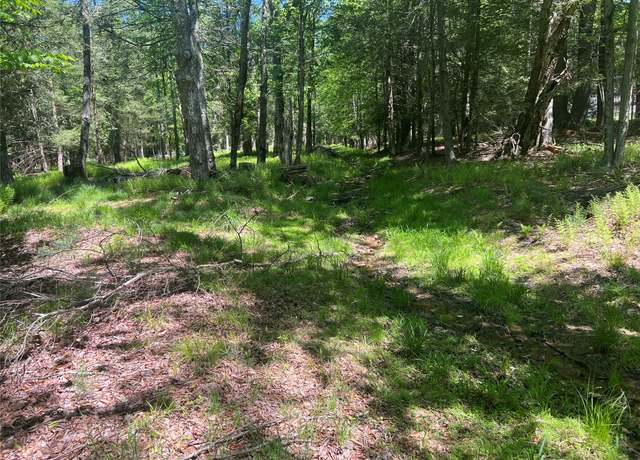 Property at 95 Old Tacy Rd, Swan Lake, NY 12783