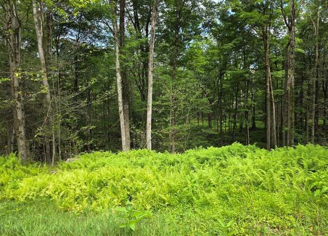 Property at Gregory Rd, Monticello, NY 12701