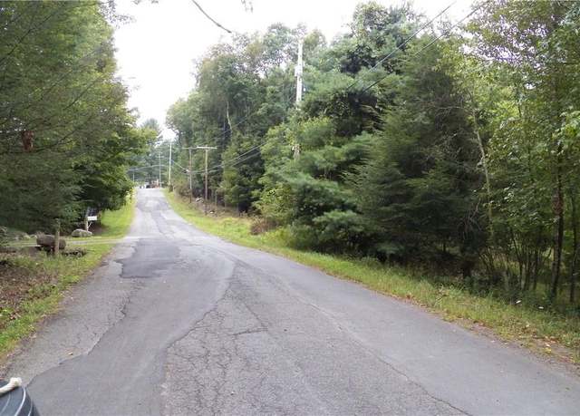 Property at Painter Hill Rd, Mountain Dale, NY 12763
