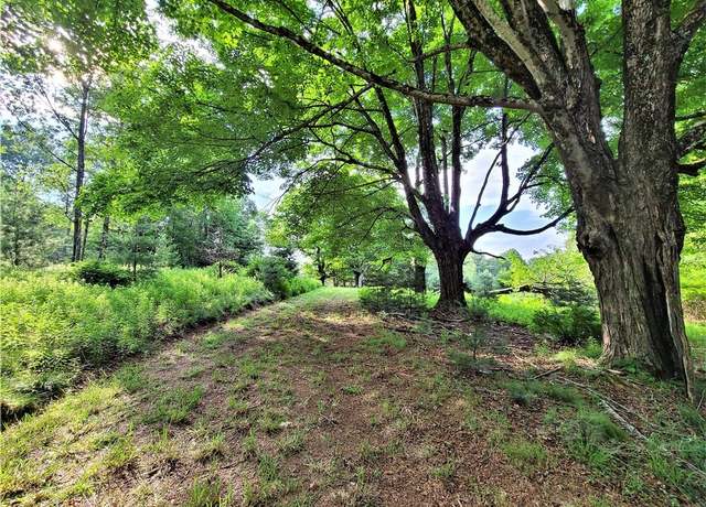 Property at TBD Mitchel Rd, White Lake, NY 12786