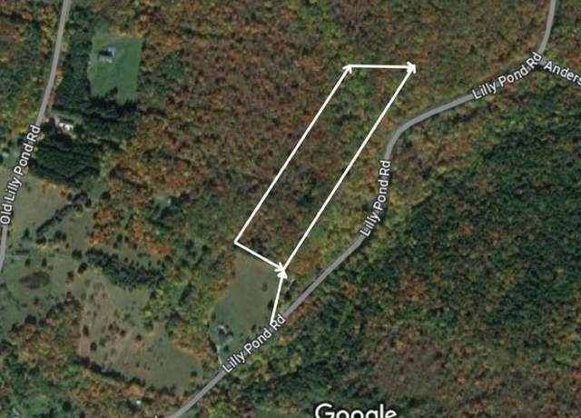 Property at Lily Pond Rd, Parksville, NY 12768