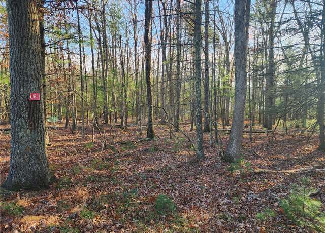 Property at 0 Taras Schevchenko Rd, Glen Spey, NY 12737