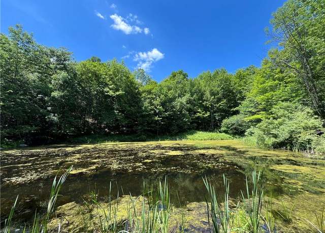 Property at Dahlia Lot 2 Rd, Livingston Manor, NY 12758