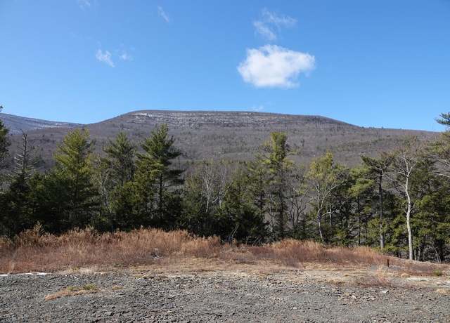Property at 736-738 Manorville, Saugerties, NY 12477