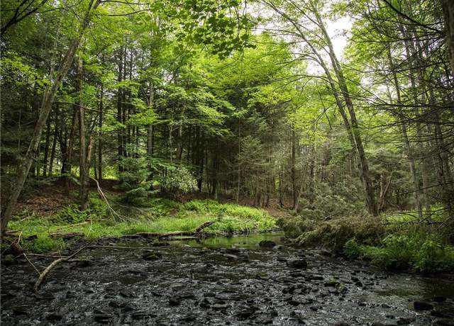 Property at Lot 4 Chapin Trl, Bethel, NY 12720