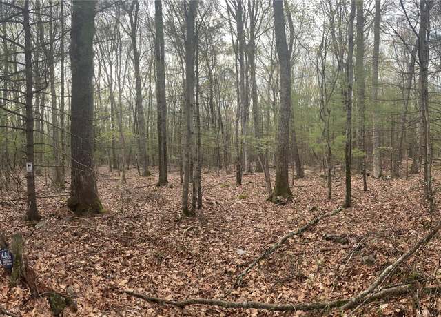 Property at 0 Clipper Drive Clipper Dr, Wurtsboro, NY 12790