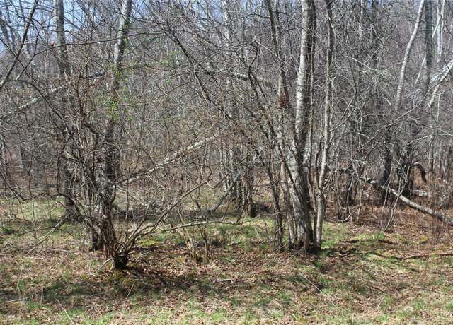 Property at 927-943 Briscoe Rd, Swan Lake, NY 12783