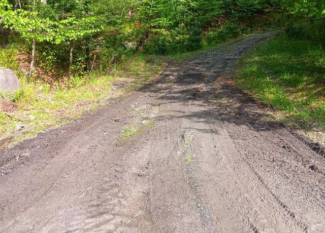 Property at TBD Hasbrouck TR 96 Rd, Woodbourne, NY 12788