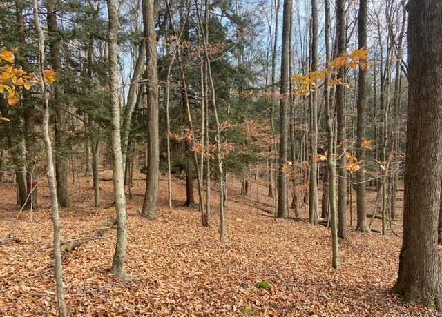 Property at Glenwild Dr, Smallwood, NY 12778