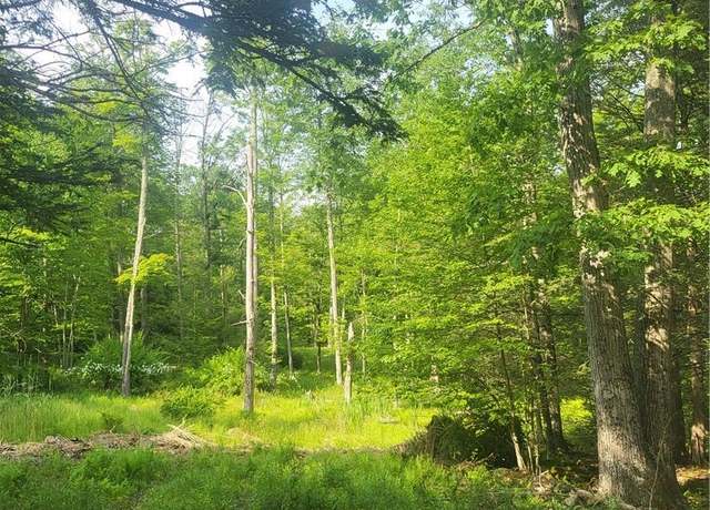 Property at Aldrich Rd, Wurtsboro, NY 12790