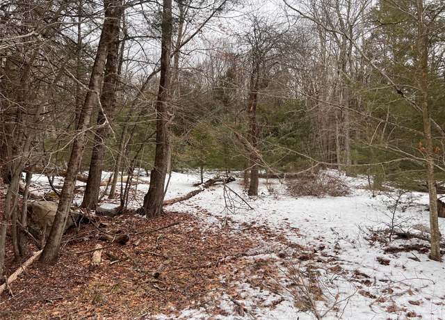 Property at Adams Rd, Rock Hill, NY 12775