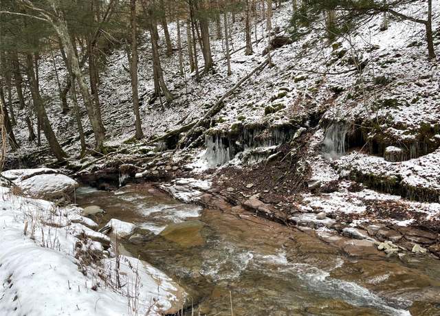 Property at Carcass Brook Spur, Hancock, NY 13783