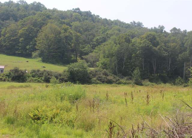 Property at Dutch Hl, Call Listing Agent, NY 12776