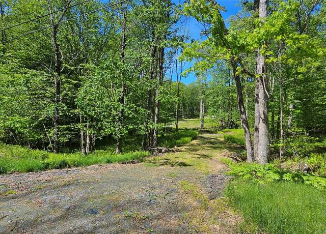 Property at Lot 61 Cushetunk Dr, Cochecton, NY 12726