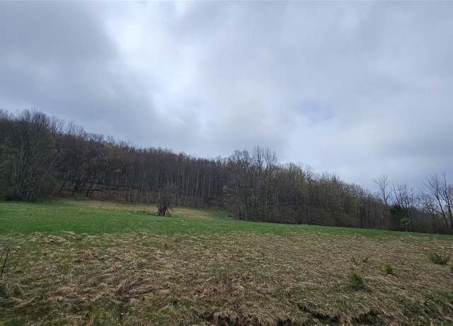 Property at Lot 7.4 Hankins Rd, Hankins, NY 12736