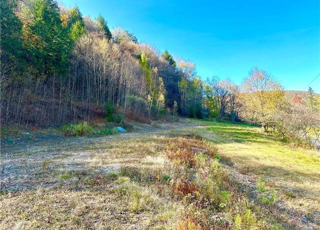 Property at Hazel Rd, Livingston Manor, NY 12758