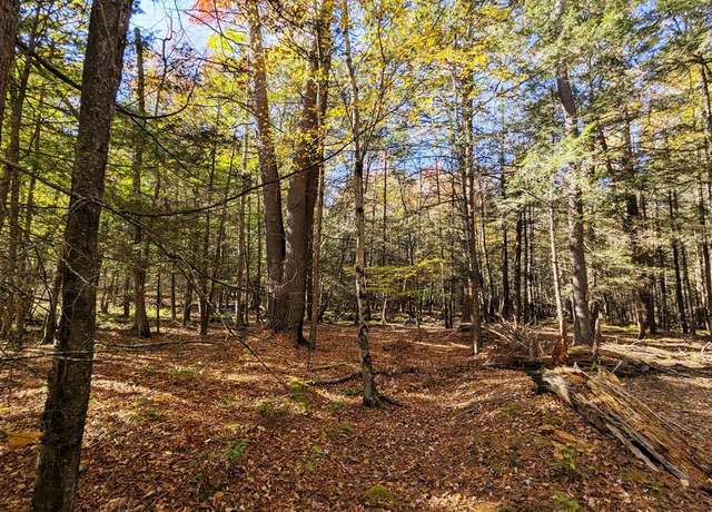 Property at Moscoe Rd, Bethel, NY 12786