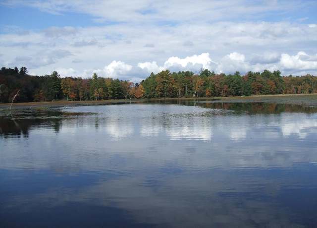 Property at Rt-17b, White Lake, NY 12720