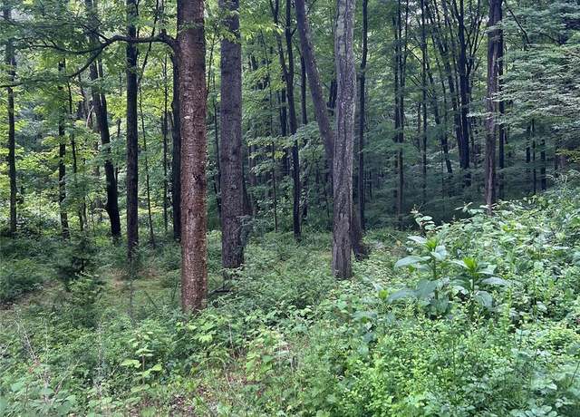 Property at Gordon Rd, Carmel, NY 10512