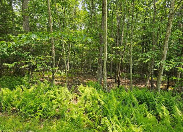 Property at Lot 3 Woods Rd, Barryville, NY 10516