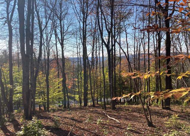 Property at TBD White Roe Lake Rd, Livingston Manor, NY 12758
