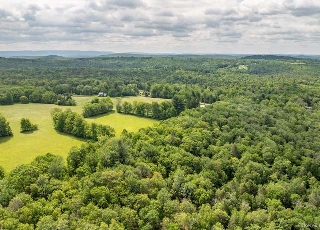 Property at 115 Moore Rd, Woodbourne, NY