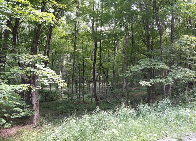 Property at 1407 Eminence Rd, East Branch, NY 13756