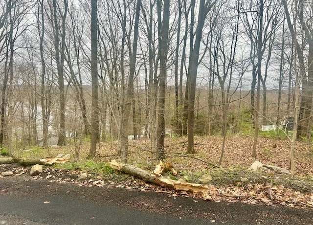 Property at Wingdale Rd, Carmel, NY 10512