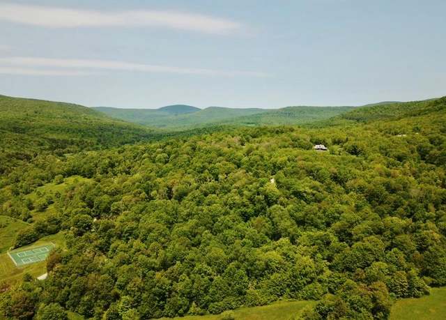 Property at TBD High Meadow Rd, Lew Beach, NY 12758