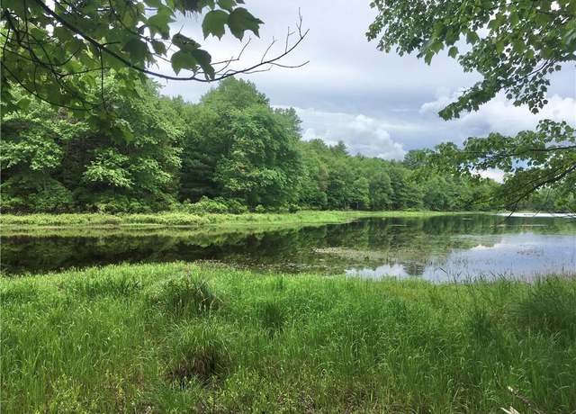 Property at 10.7 & 10.9 Cty Hwy 141 Horseshoe Lake Rd, Bethel, NY 12720