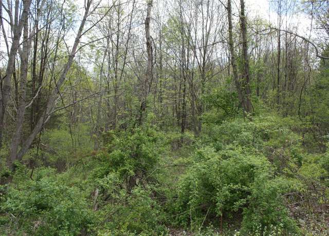 Property at Mountain Rd, Port Jervis, NY 12771