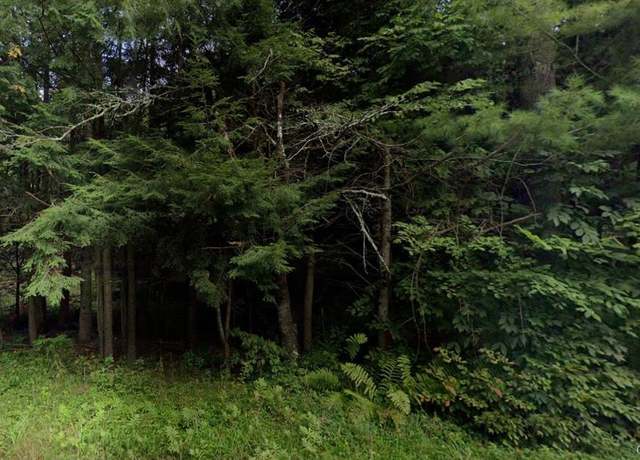 Property at 191 Elm Hollow Rd, Livingston Manor, NY 12758