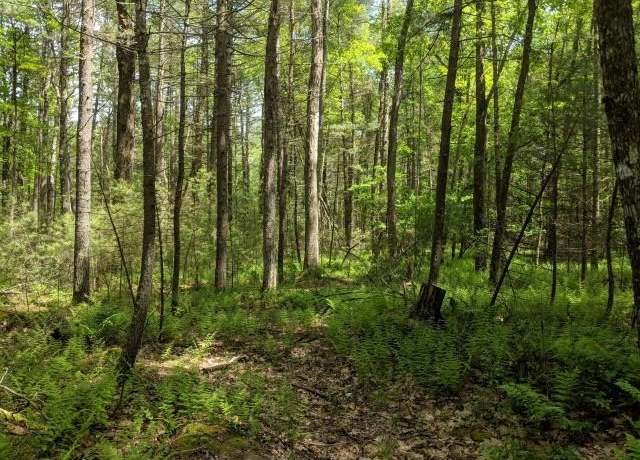 Property at Haring Rd, Glen Spey, NY 12737