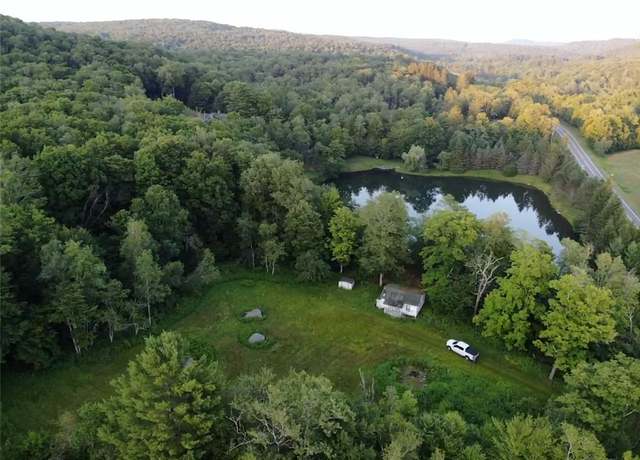Property at 909 Debruce Rd, Livingston Manor, NY 12758, 1 bed, 0.5 baths