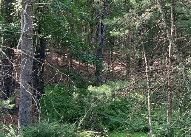 Property at Irishtown Rd, Narrowsburg, NY 12764