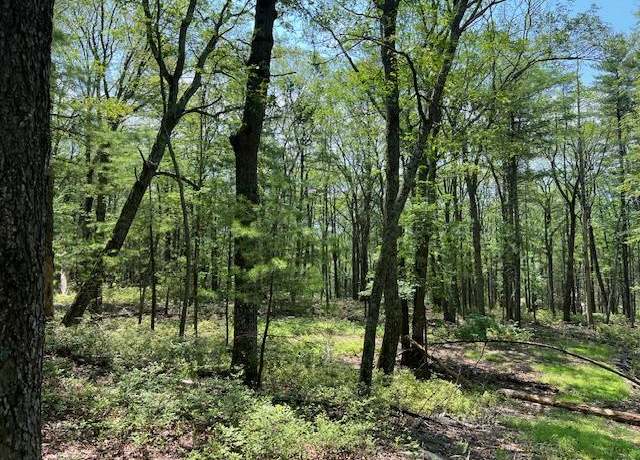 Property at Lot 7 Sunflower Dr, Glen Spey, NY 12737