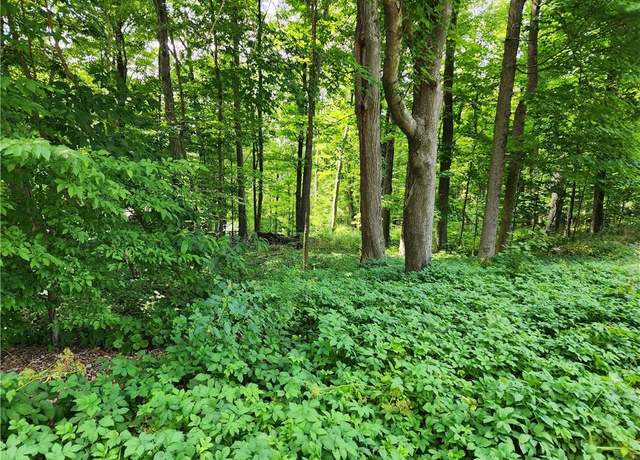 Property at Rambler Rd, Carmel, NY 10512