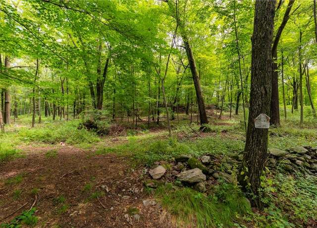 Property at Arthursburg Rd, Lagrangeville, NY 12540