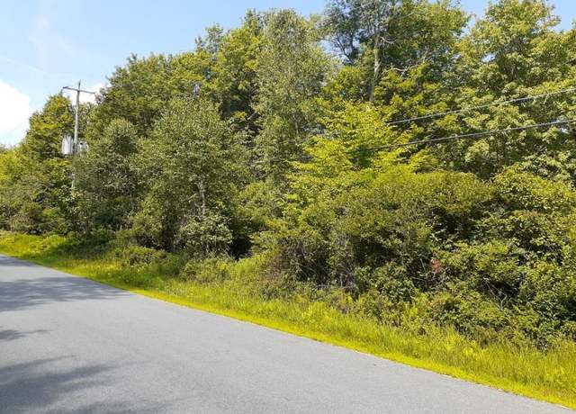 Property at 351 White Roe Lake Rd, Livingston Manor, NY 12758