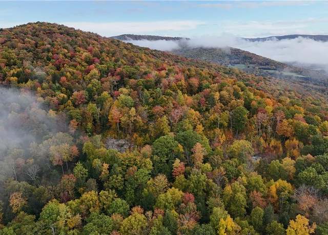 Property at Shaver Hollow Rd, Andes, NY 13731