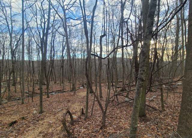 Property at Ferguson Rd, Bloomingburg, NY 12721